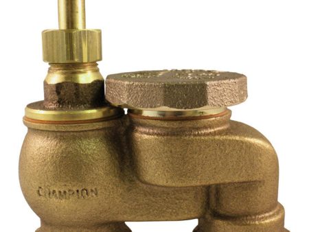 Champion Anti-Siphon Valve 3 4 in. 150 psi Discount